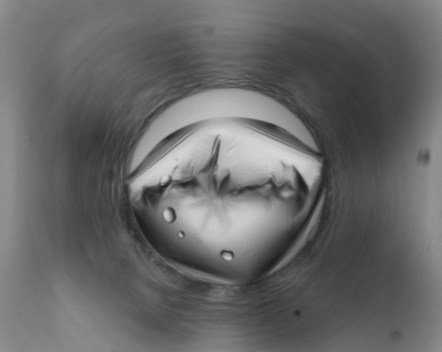 X0000111640080200908141417
