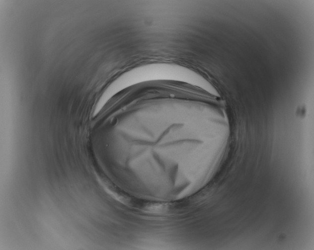 X0000111640084200908141417