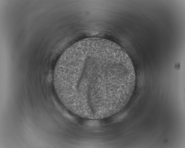 X0000111640085200908141417