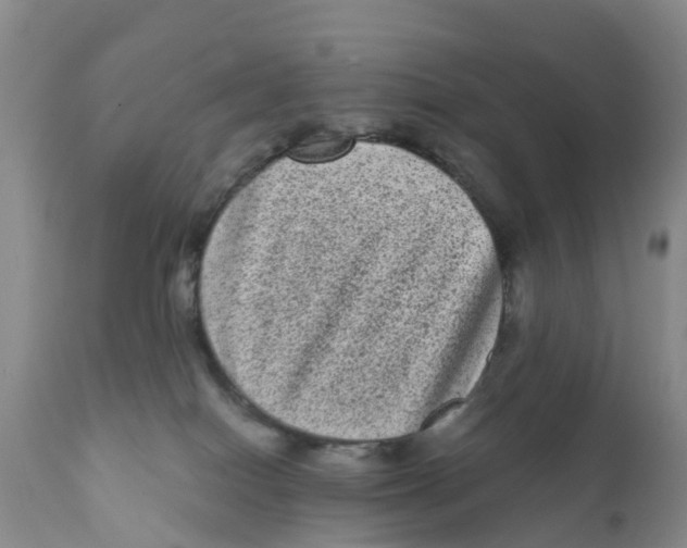 X0000111640086200908141417