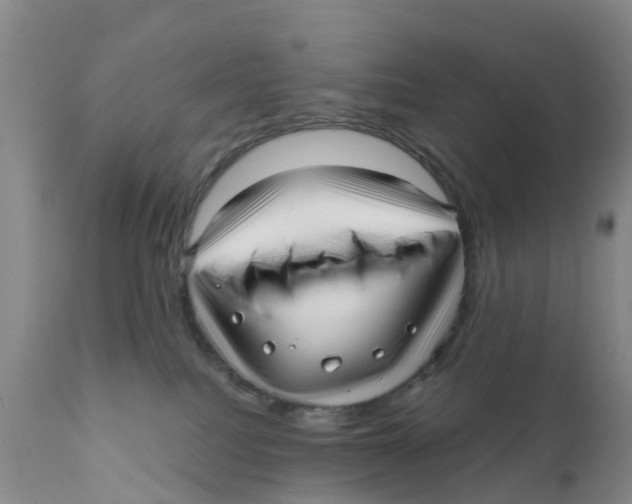 X0000111640088200908141418