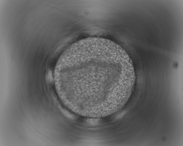 X0000111640089200908141418