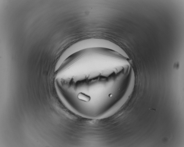 X0000111640092200908141418