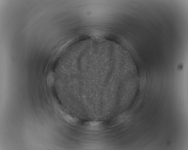 X0000111640093200908141418