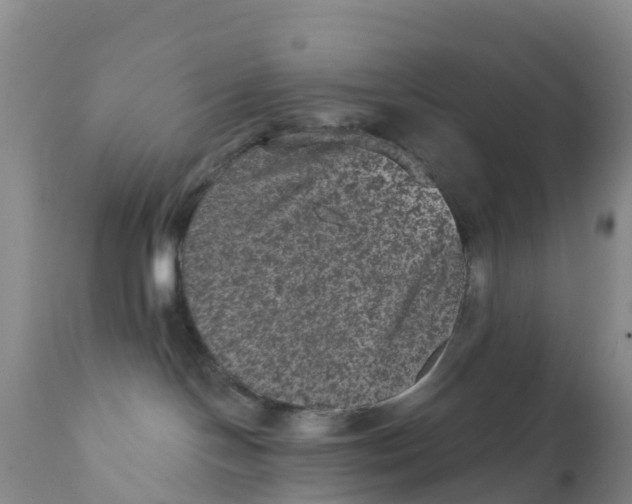 X0000111640094200908141418