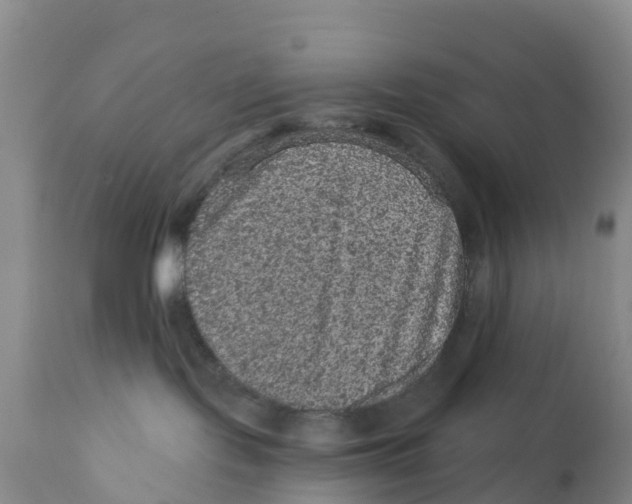 X0000111640095200908141418