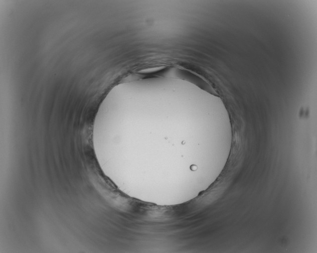 X0000111640096200908141418