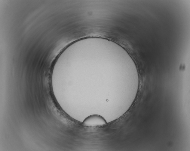X0000111640098200908141417