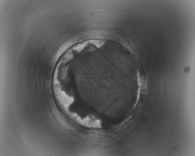 X0000111640099200908141417