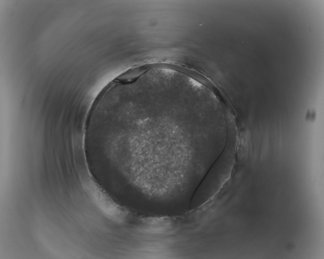 X0000111640100200908141417