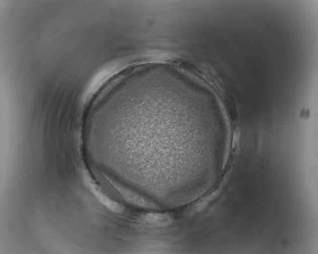 X0000111640101200908141417
