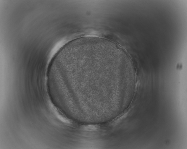 X0000111640102200908141417
