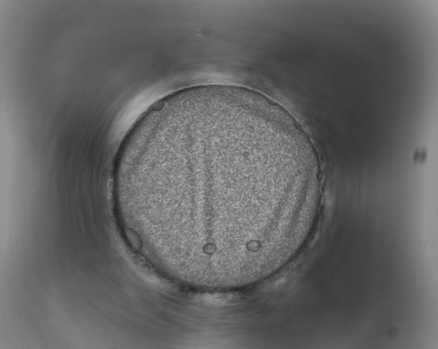 X0000111640103200908141417