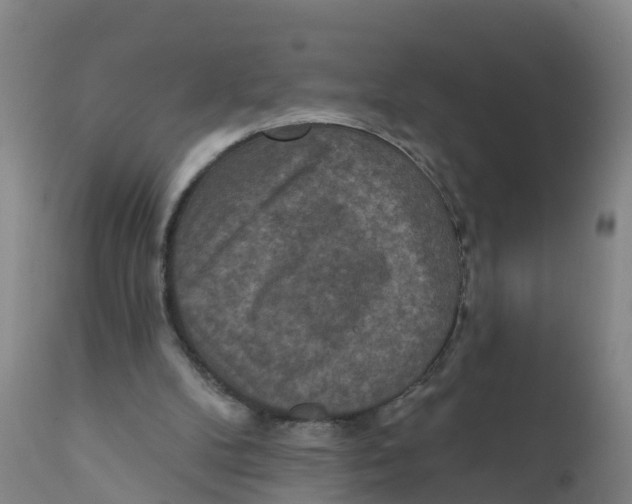 X0000111640104200908141417