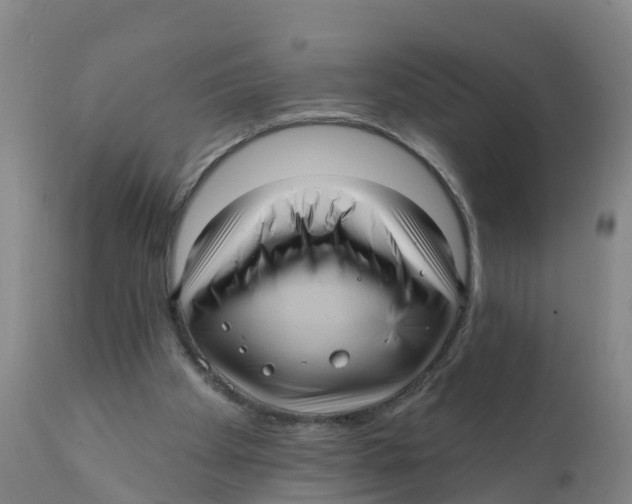 X0000111640105200908141417