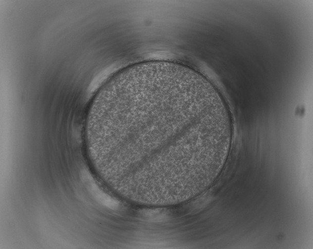X0000111640106200908141417