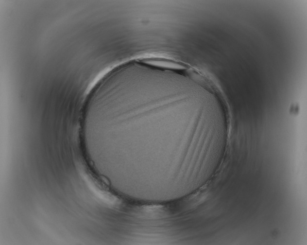X0000111640108200908141417