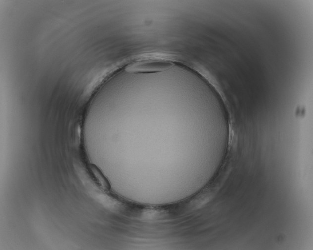 X0000111640109200908141417