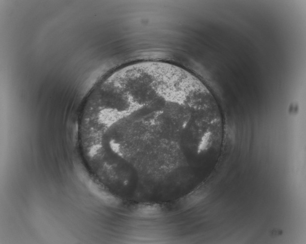 X0000111640110200908141417