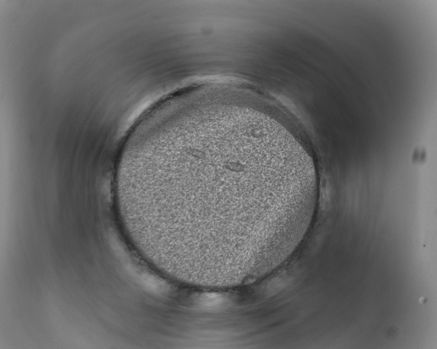 X0000111640111200908141417