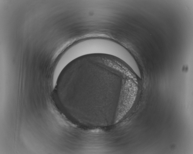 X0000111640112200908141417