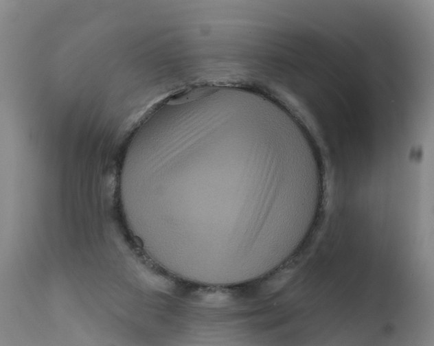 X0000111640113200908141417