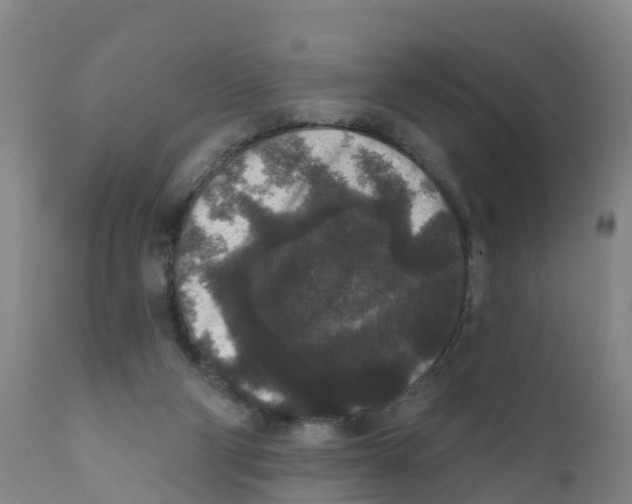 X0000111640114200908141417