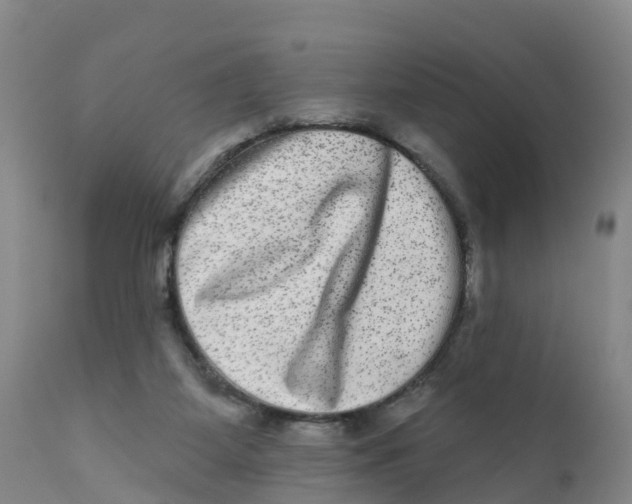 X0000111640115200908141417