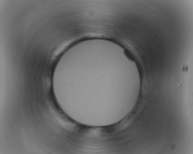 X0000111640116200908141417