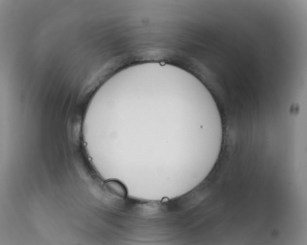 X0000111640118200908141417