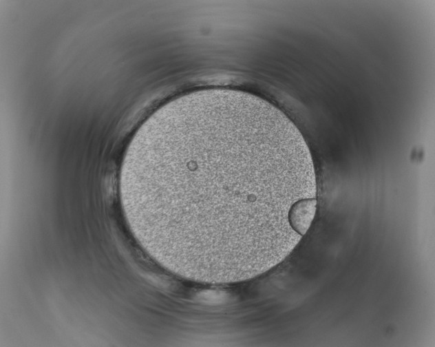 X0000111640119200908141417