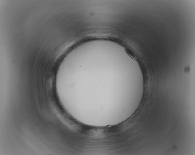 X0000111640120200908141417