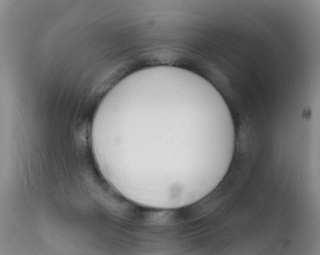 X0000111640122200908141417