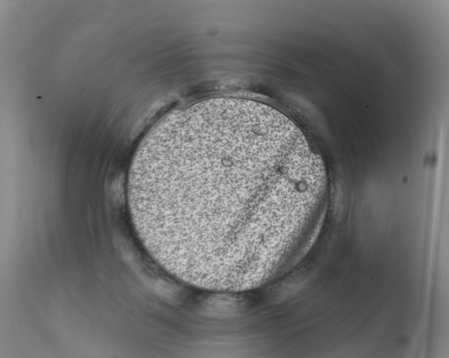 X0000111640123200908141417