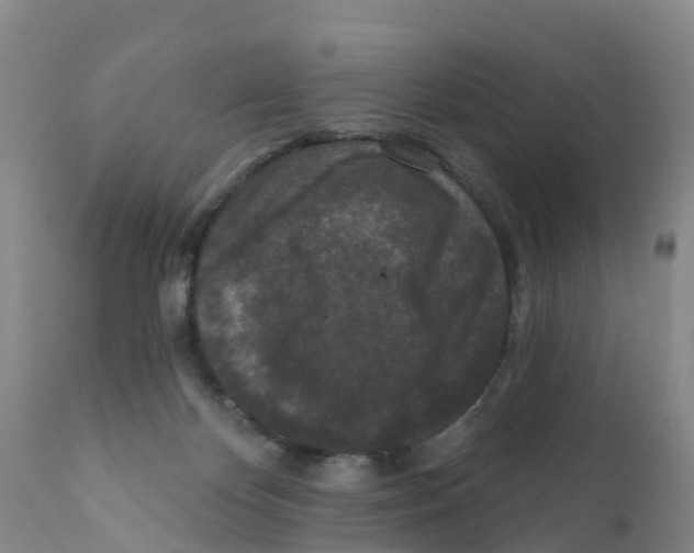 X0000111640124200908141417