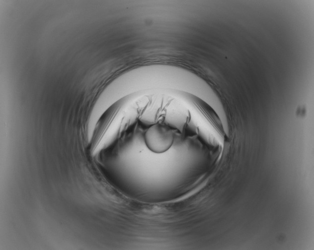 X0000111640125200908141417