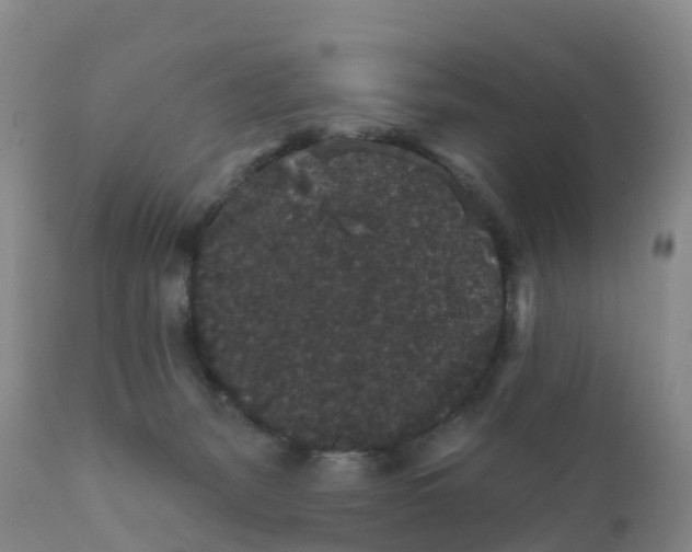 X0000111640127200908141417
