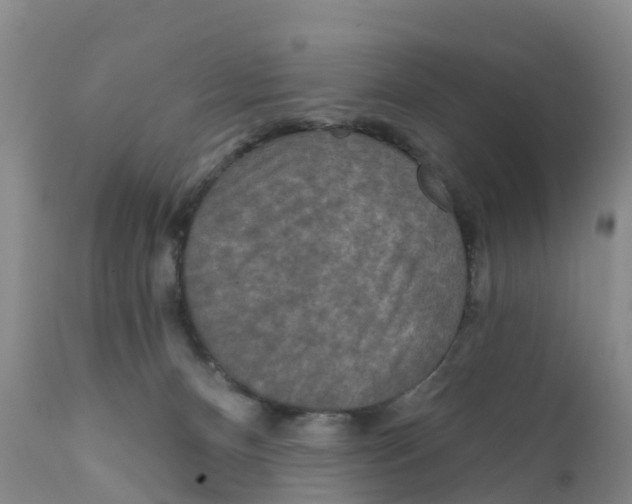 X0000111640128200908141417