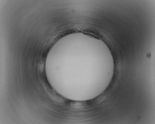 X0000111640129200908141417