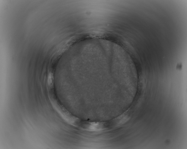 X0000111640130200908141416