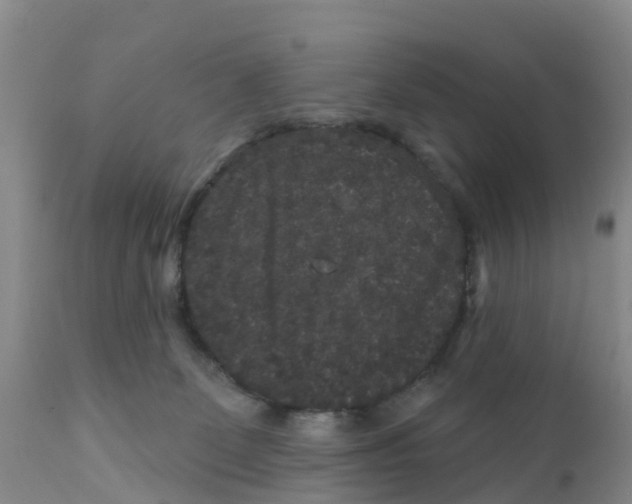 X0000111640131200908141416