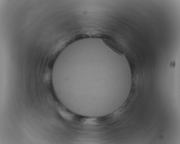 X0000111640132200908141416