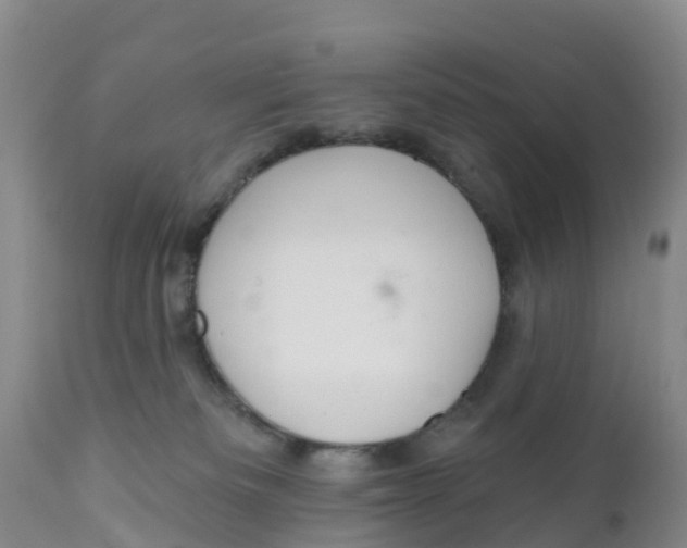 X0000111640133200908141416