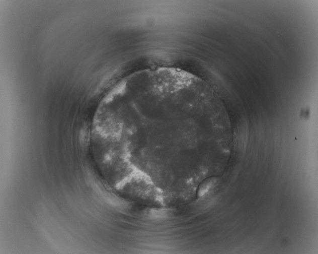 X0000111640134200908141416
