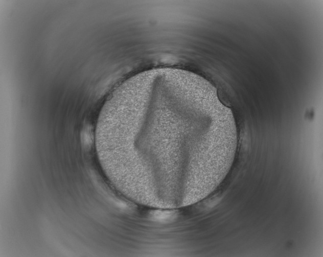 X0000111640135200908141416