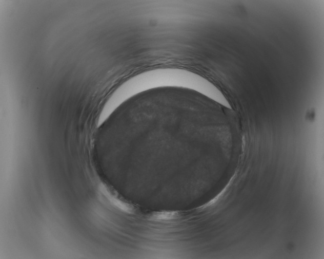 X0000111640136200908141416