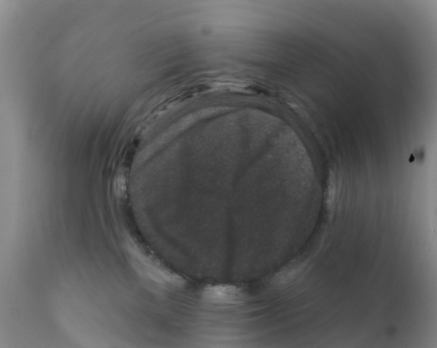 X0000111640137200908141416