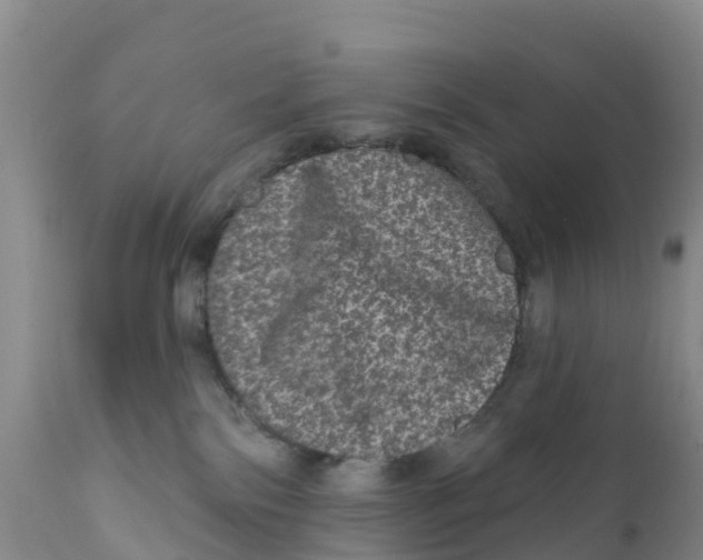X0000111640138200908141416
