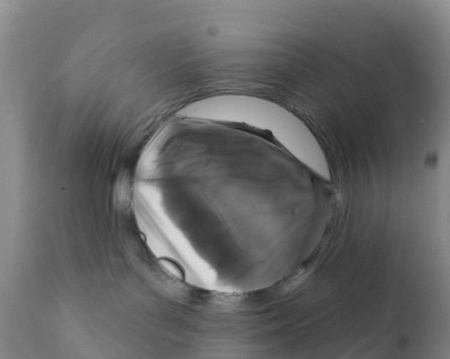 X0000111640143200908141416