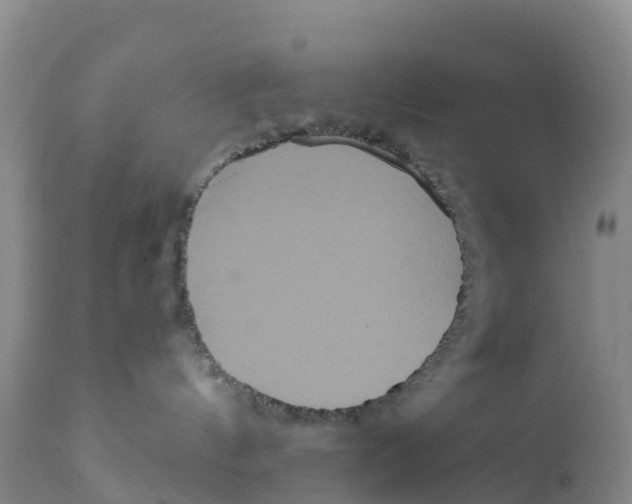 X0000111640144200908141416
